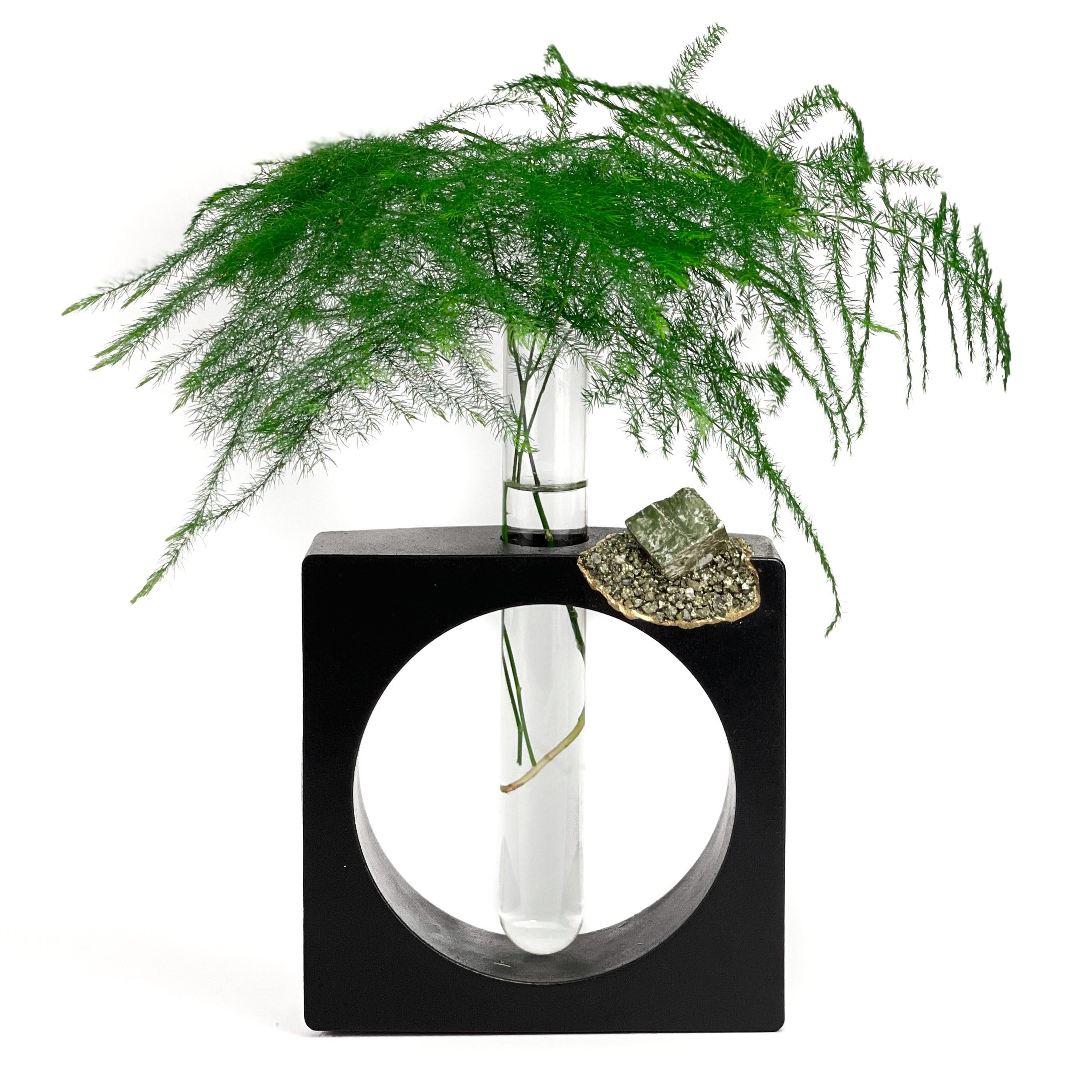 PYRITE PROPAGATION STATION