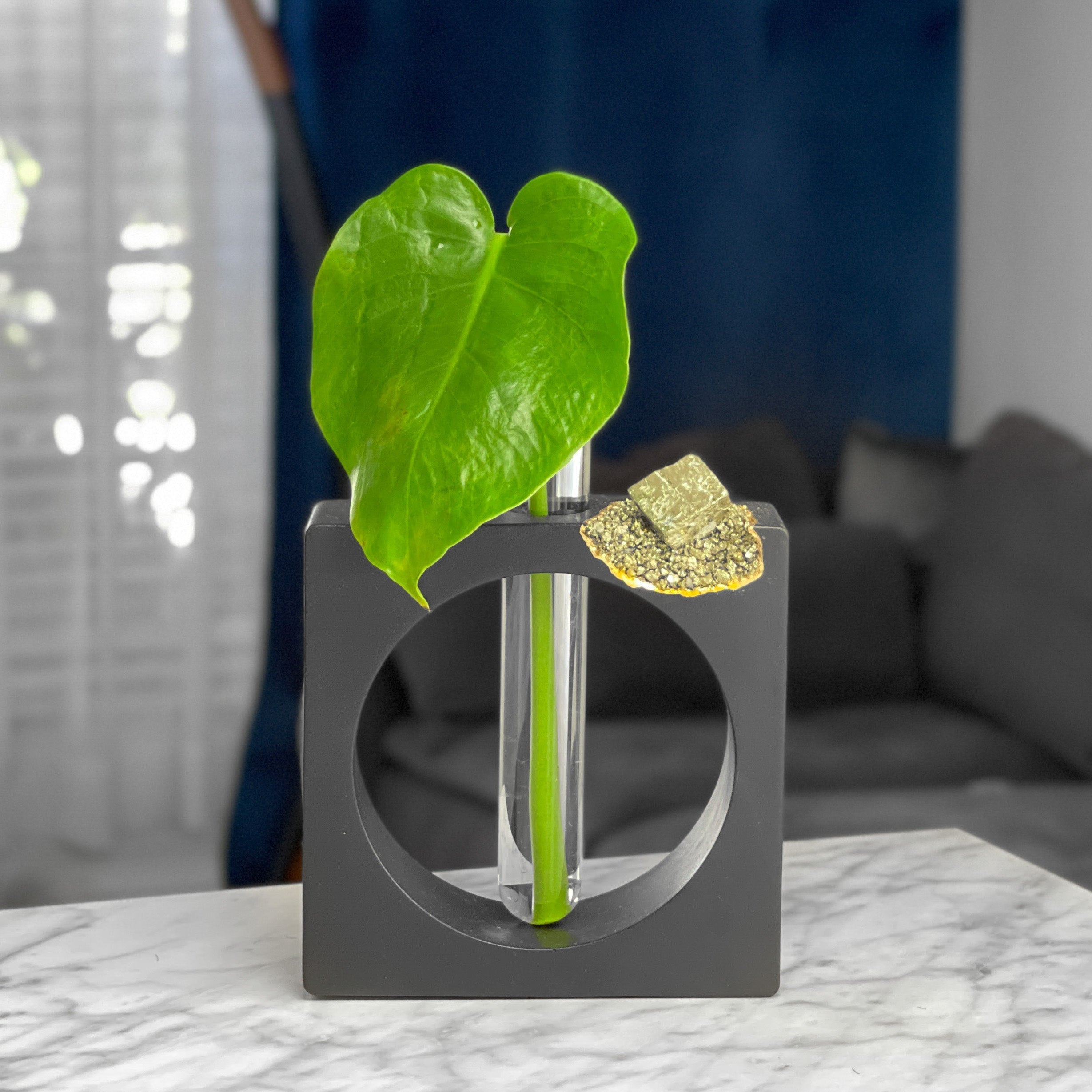 PYRITE PROPAGATION STATION