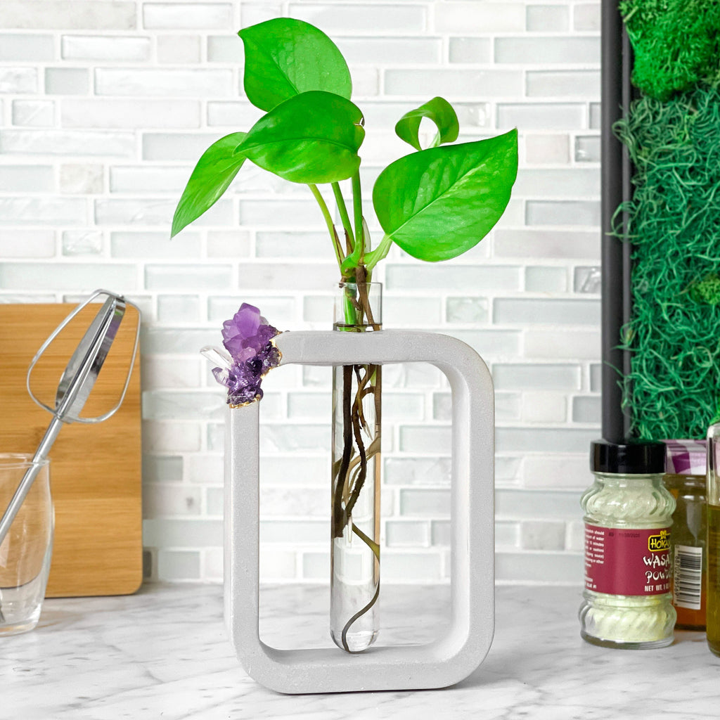 AMETHYST PROPAGATION STATION