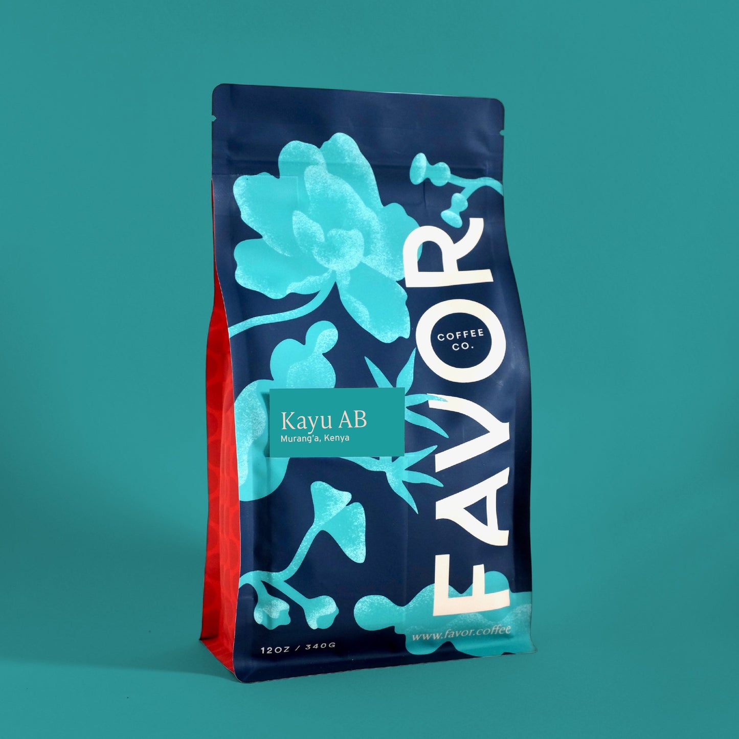 Kenya - Murang'a: Kayu AA