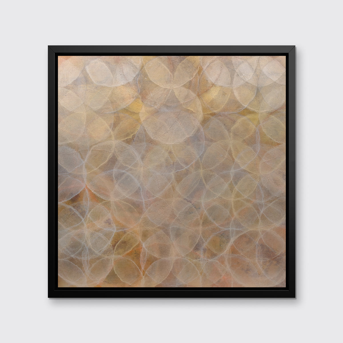 Krameria - Limited Edition Canvas Print