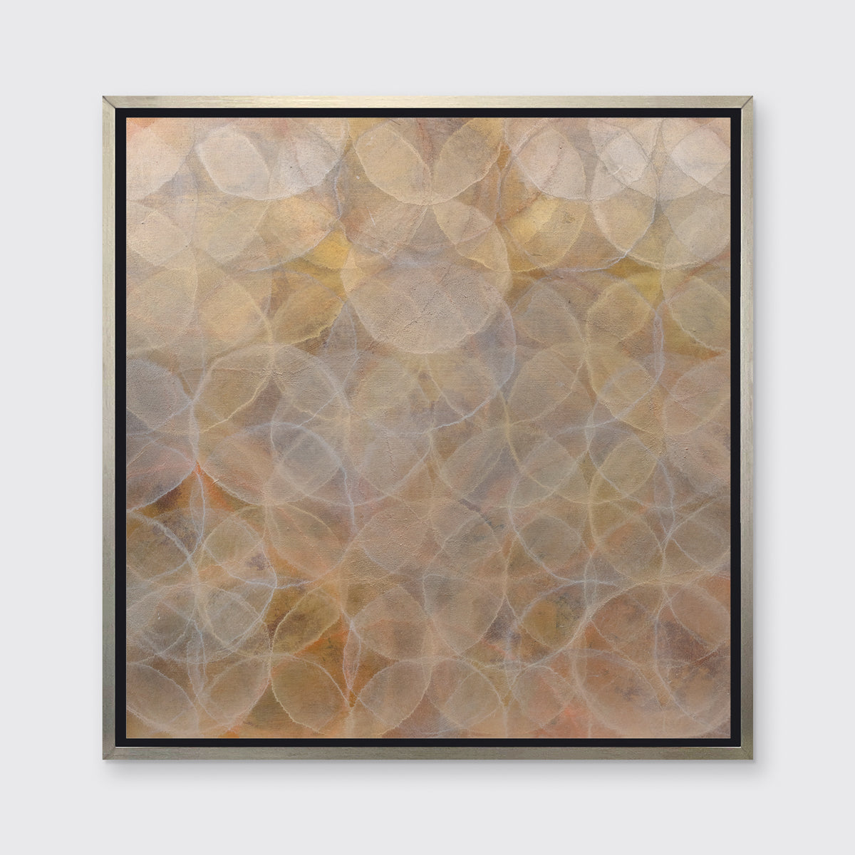 Krameria - Limited Edition Canvas Print