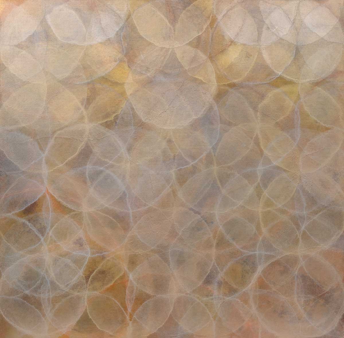 Krameria - Limited Edition Canvas Print