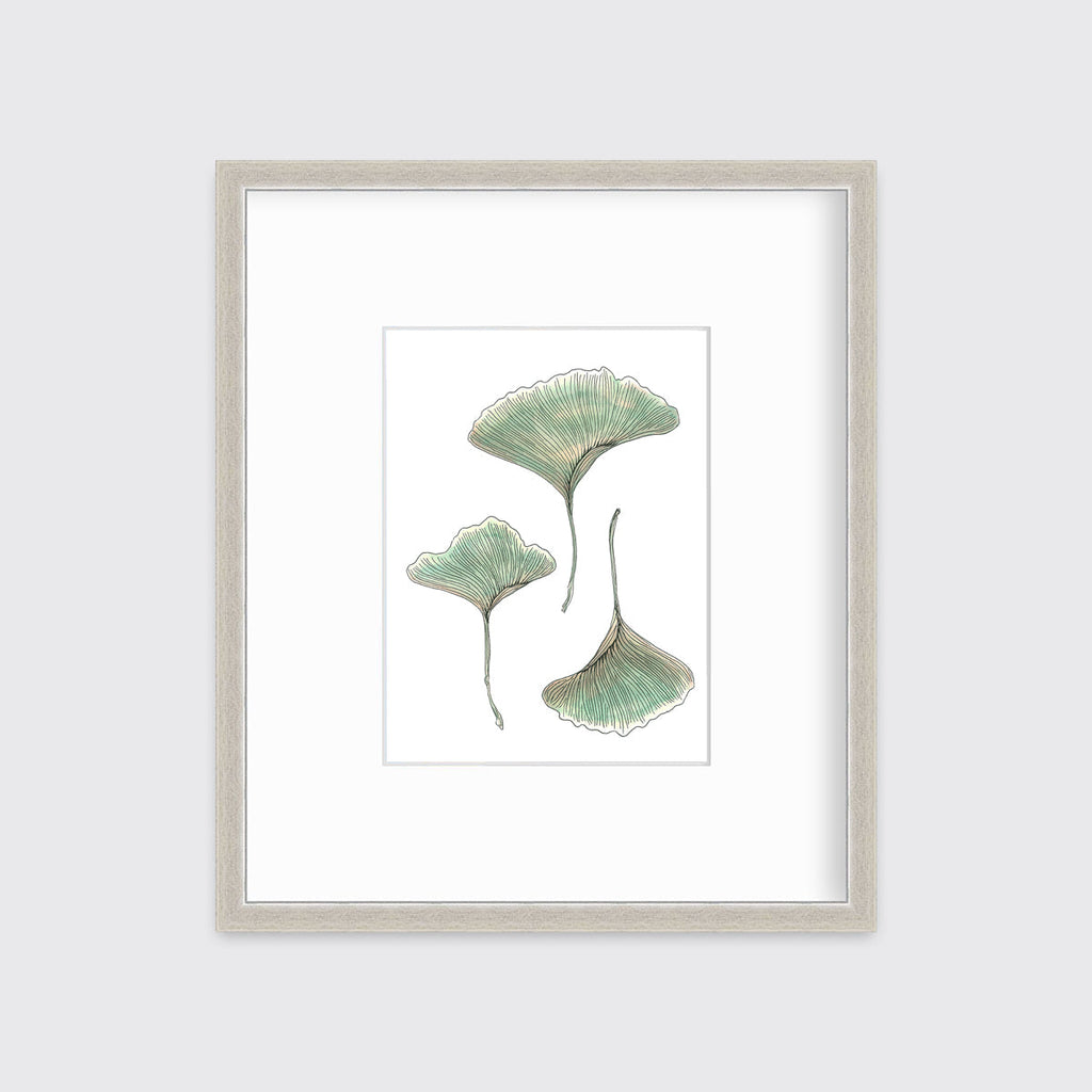 Maidenhair - Open Edition Paper Print