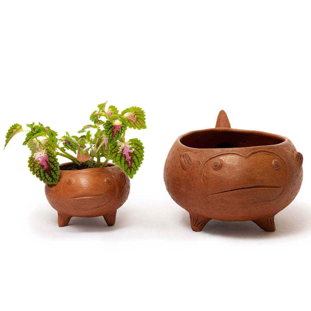 Los Peces Planters