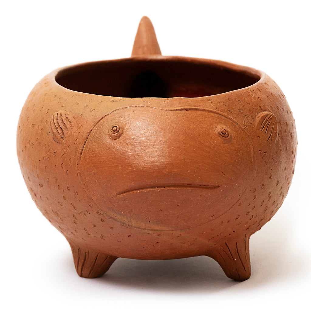 Los Peces Planters