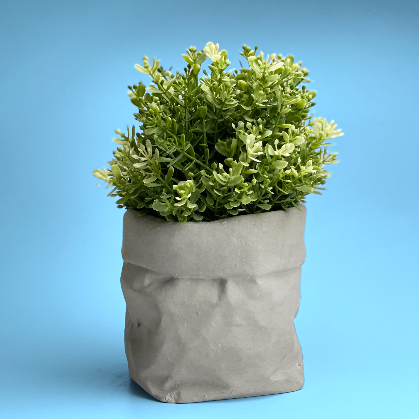 Paper Bag Succulent Planter Pot