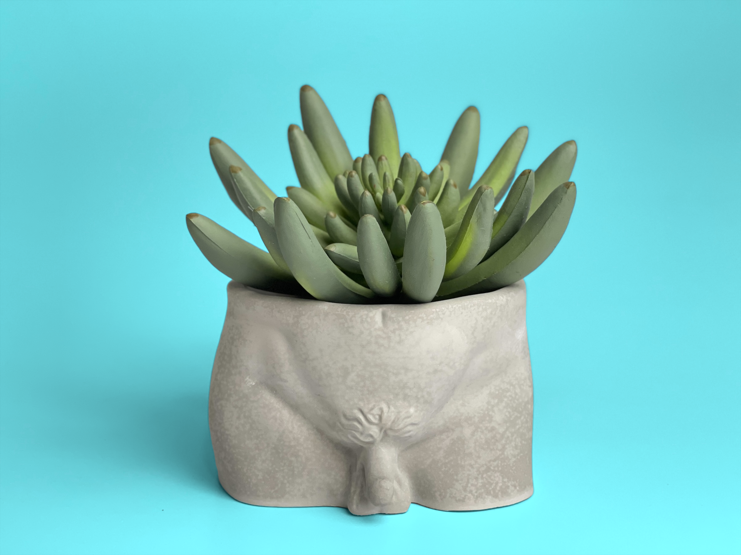 Male Body Planter Pot | Butt