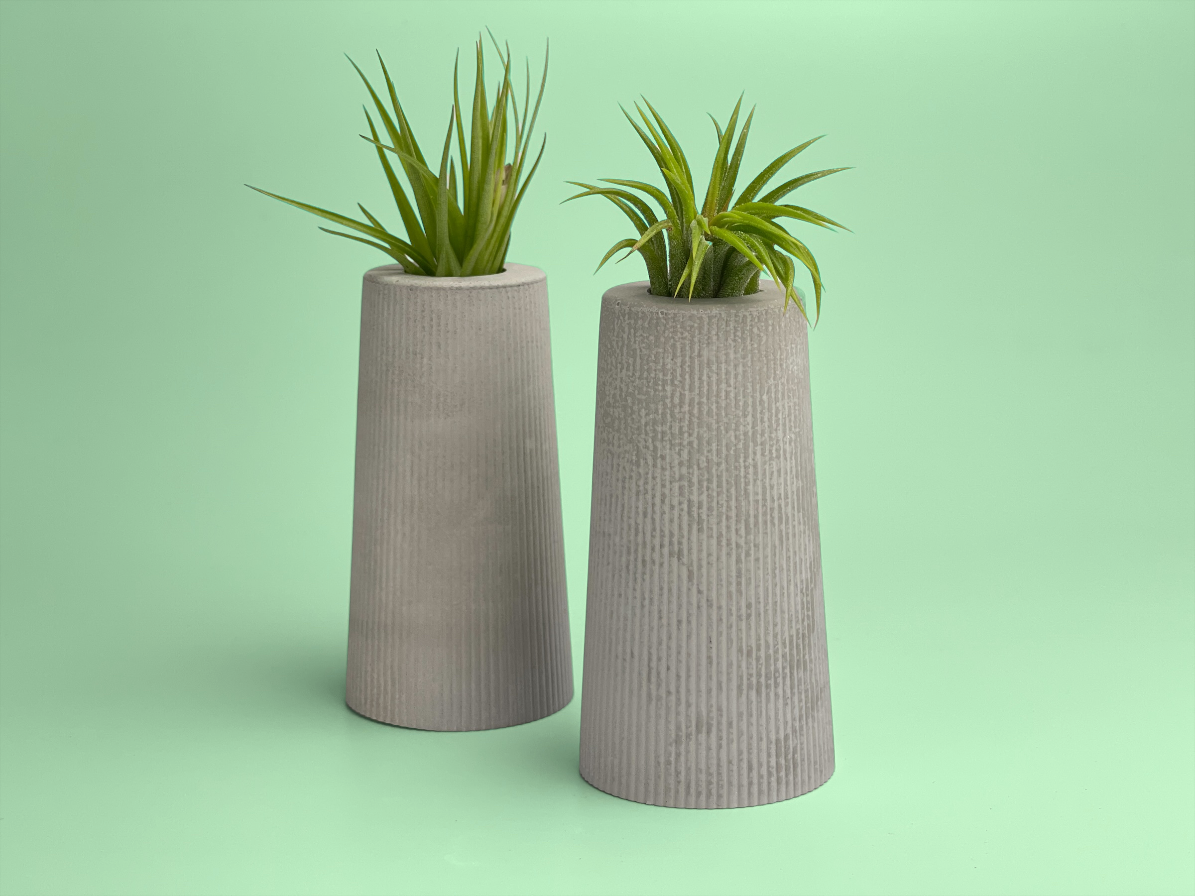 FAT MINI VASE | AIR PLANT HOLDER