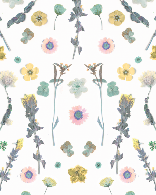 Pressed Fresh Version 02 Wallpaper, pink & yellow