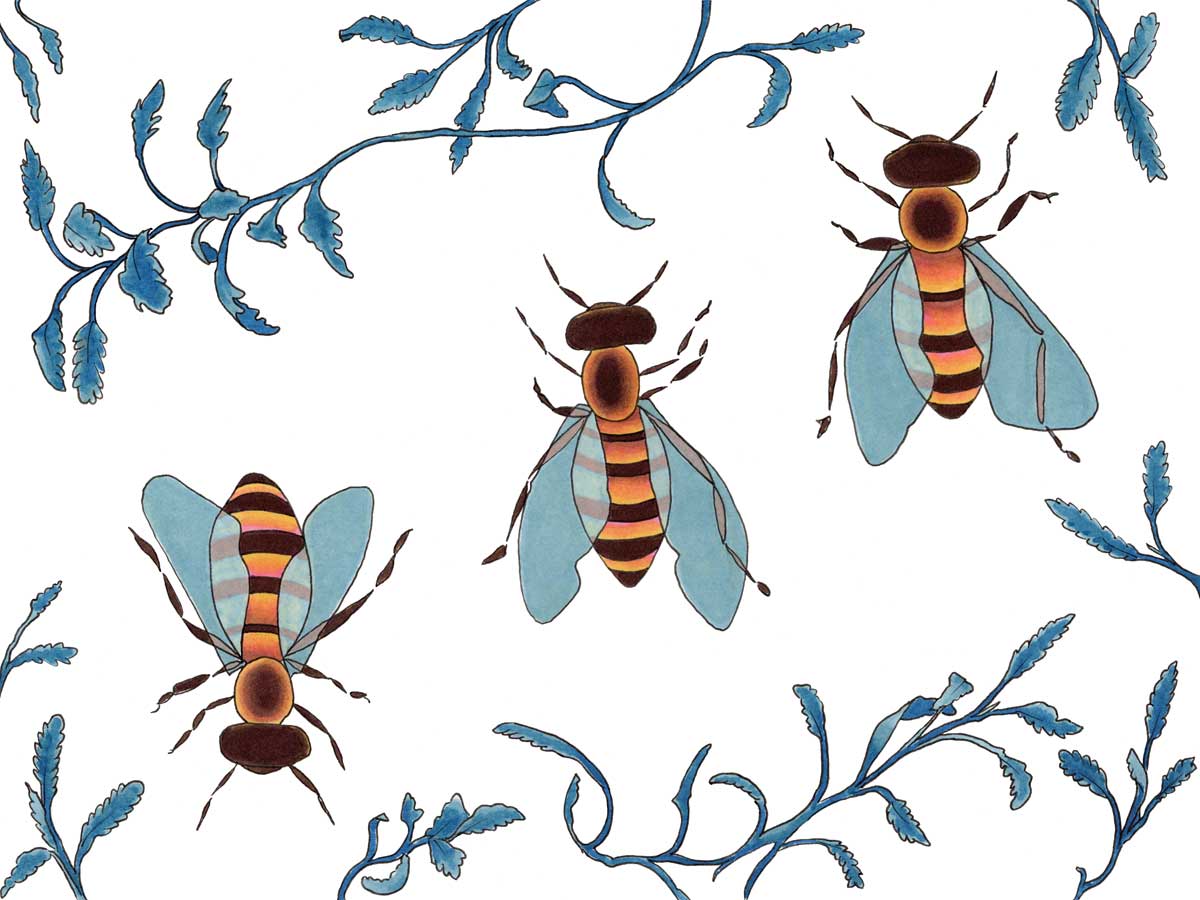 Royals - Open Edition Canvas Print