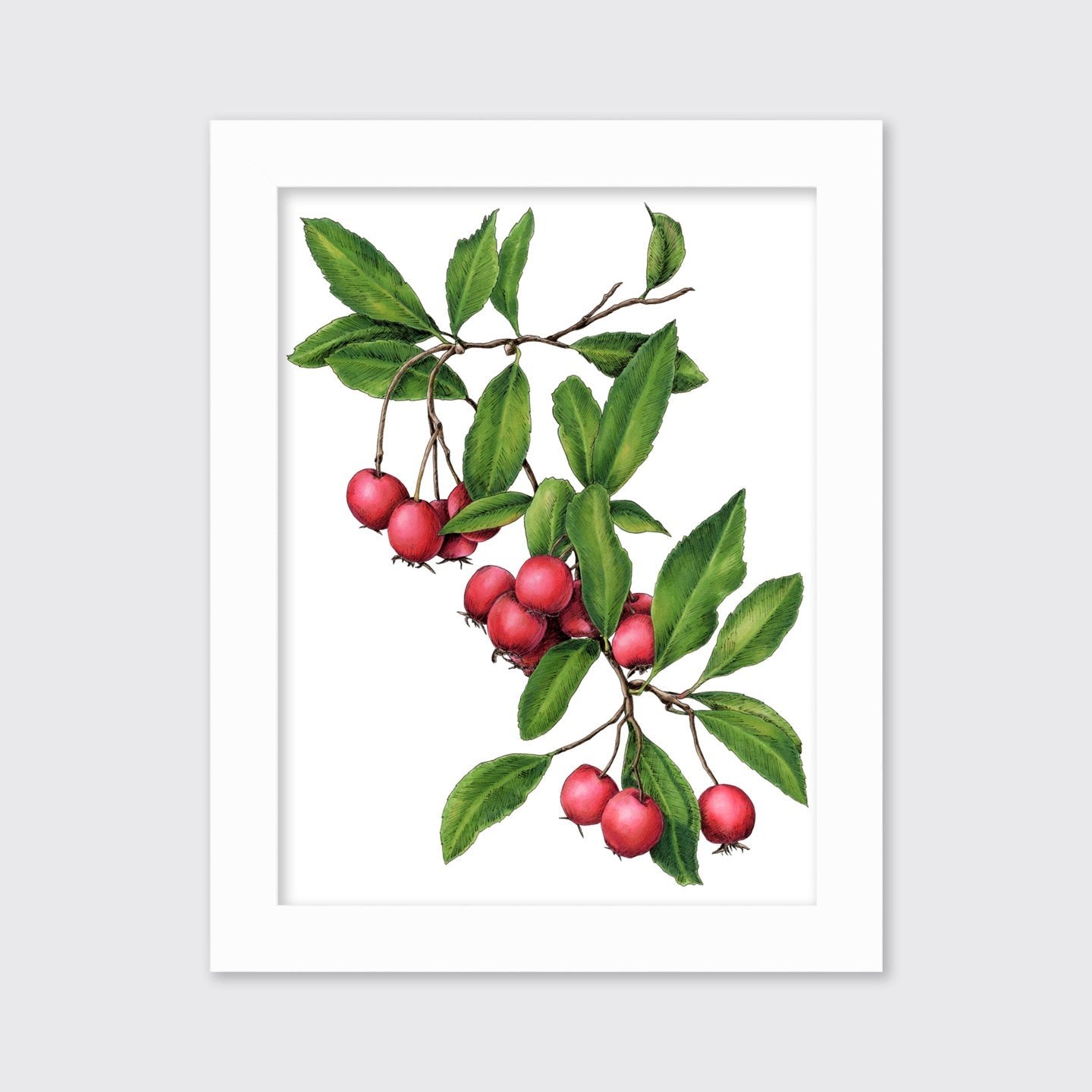 September - Open Edition Paper Print