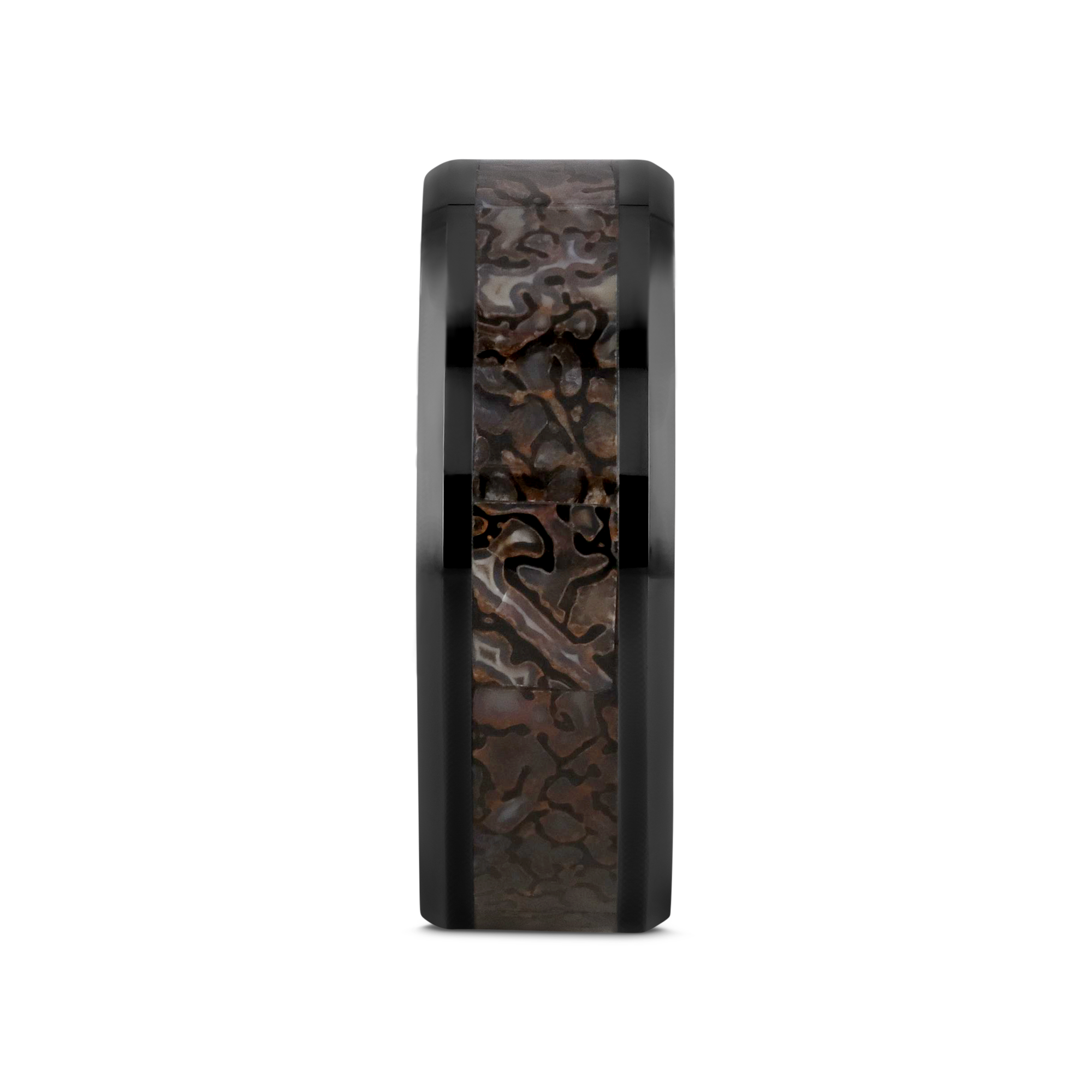 SILURIAN Dinosaur Bone Inlaid Black Ceramic Beveled Edged Ring - 4mm or 8mm