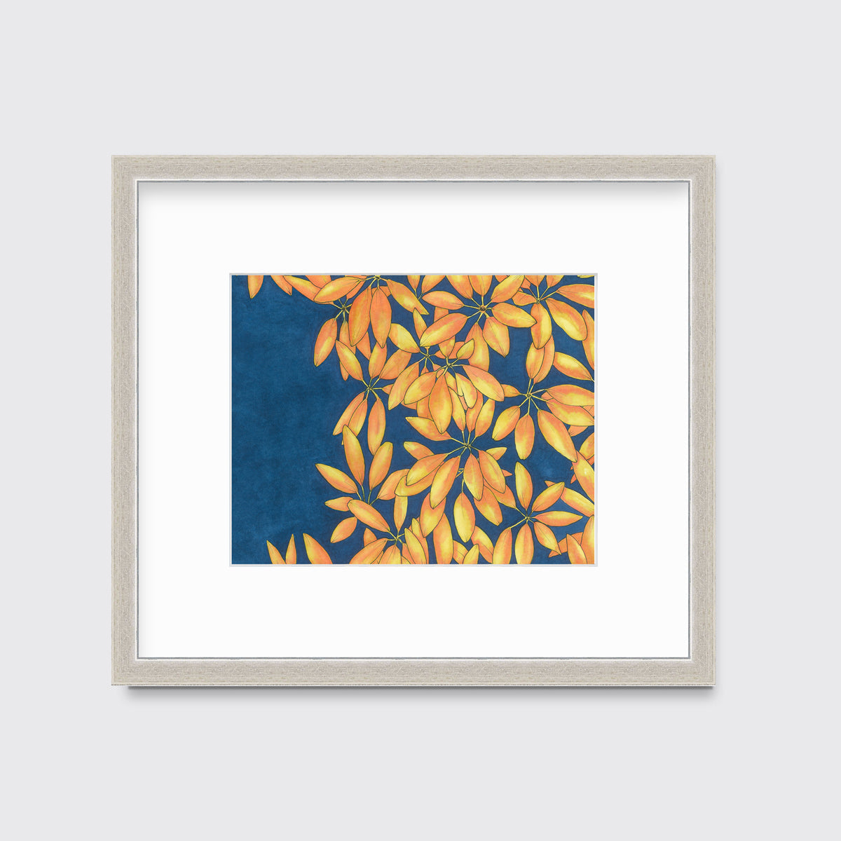 Sun Stars - Open Edition Paper Print