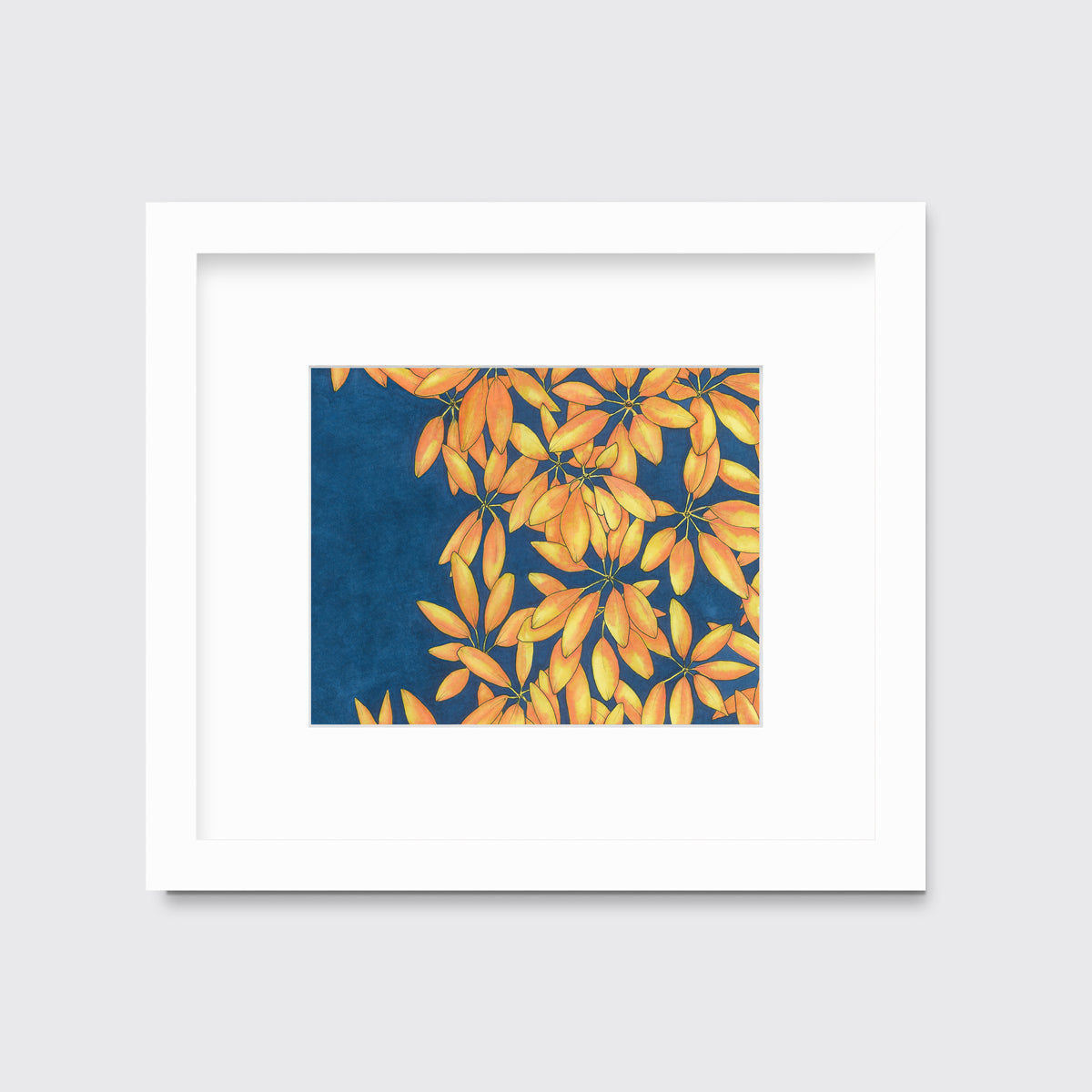 Sun Stars - Open Edition Paper Print