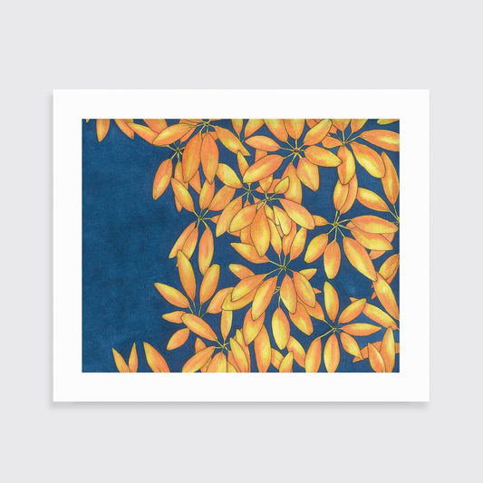 Sun Stars - Open Edition Paper Print