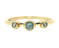 The Cerberus - Montana Sapphire Ring