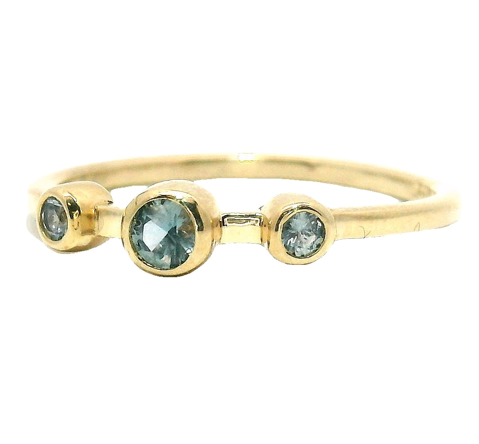 The Cerberus - Montana Sapphire Ring