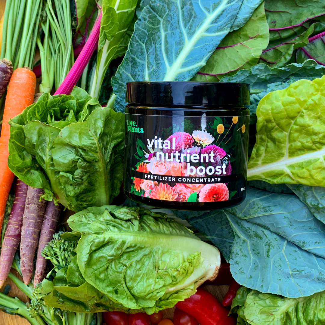 Vital Nutrient Boost