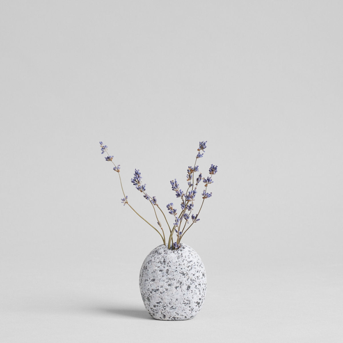 Dried Lavender