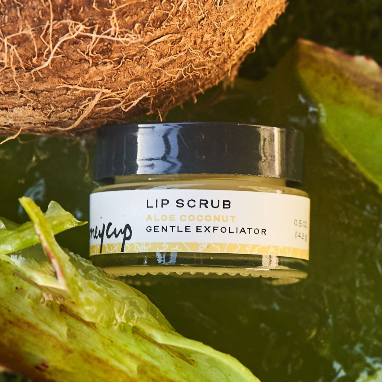 Lip scrub with real aloe and coconut in background, key ingredients