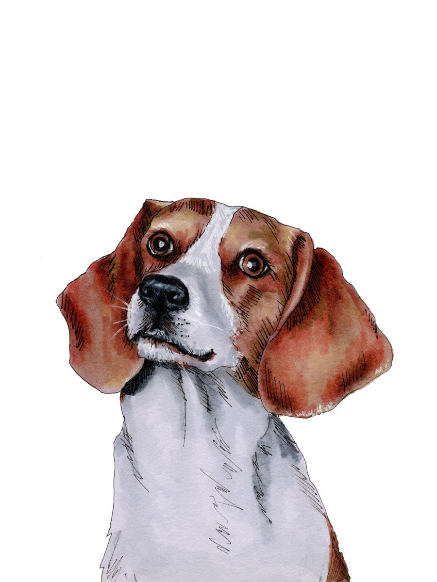 The Beagle - Open Edition Paper Print