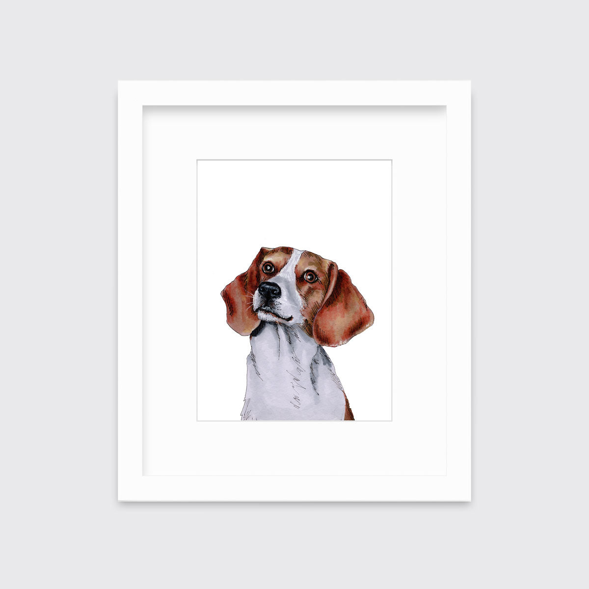 The Beagle - Open Edition Paper Print