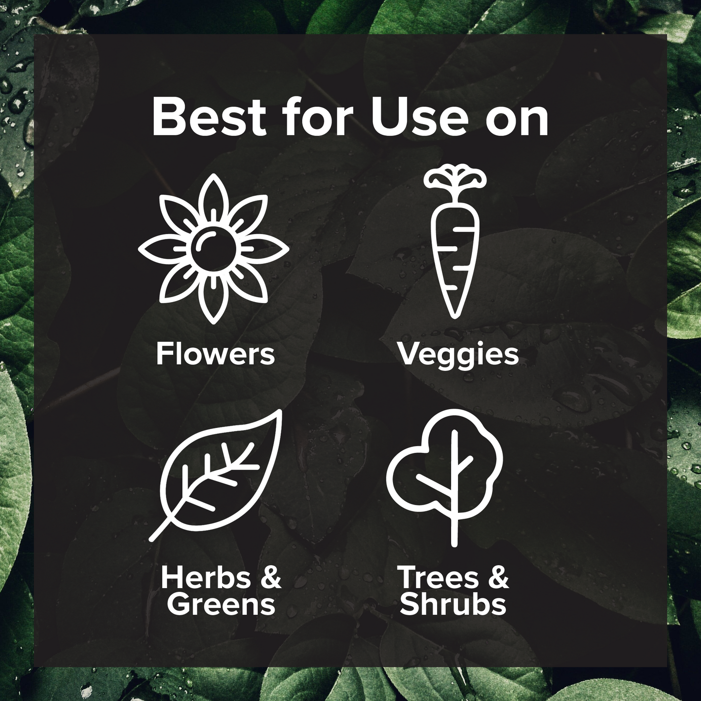 Vital Nutrient Boost