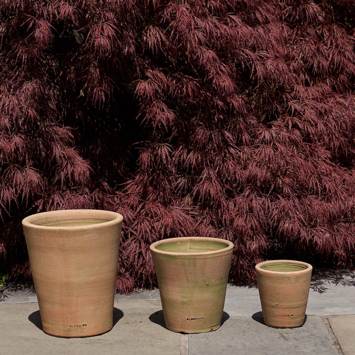 Terracotta Studio Planter, Greenwash
