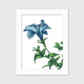 Blue - Open Edition Paper Print