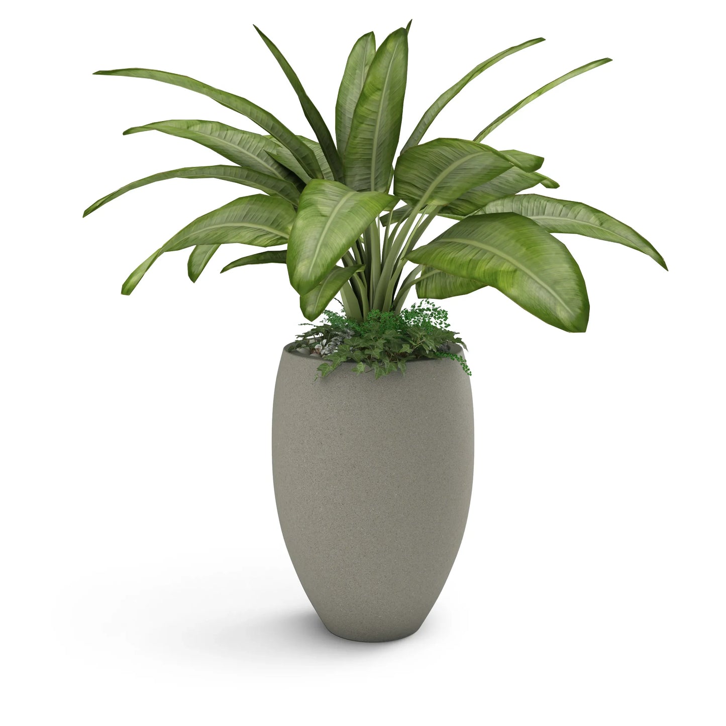 Brandy Planter