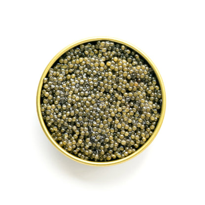 Caviar - Paddlefish