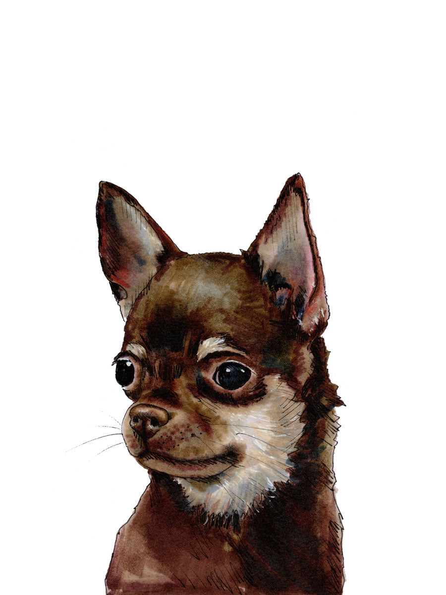 The Chihuahua - Open Edition Paper Print