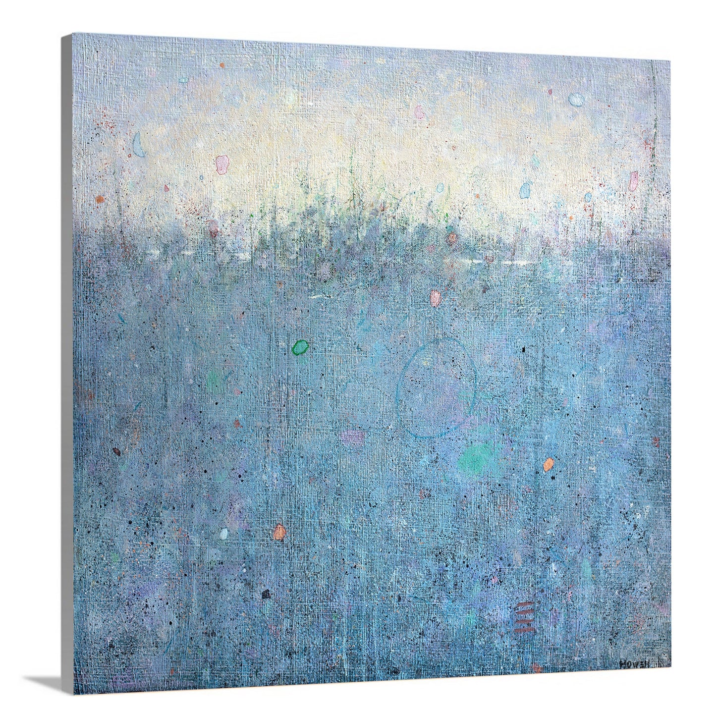 Cricket Home - Limited Edition Canvas Print