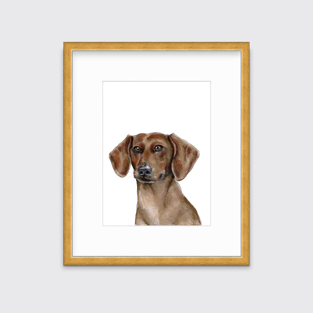 The Dachshund - Open Edition Paper Print