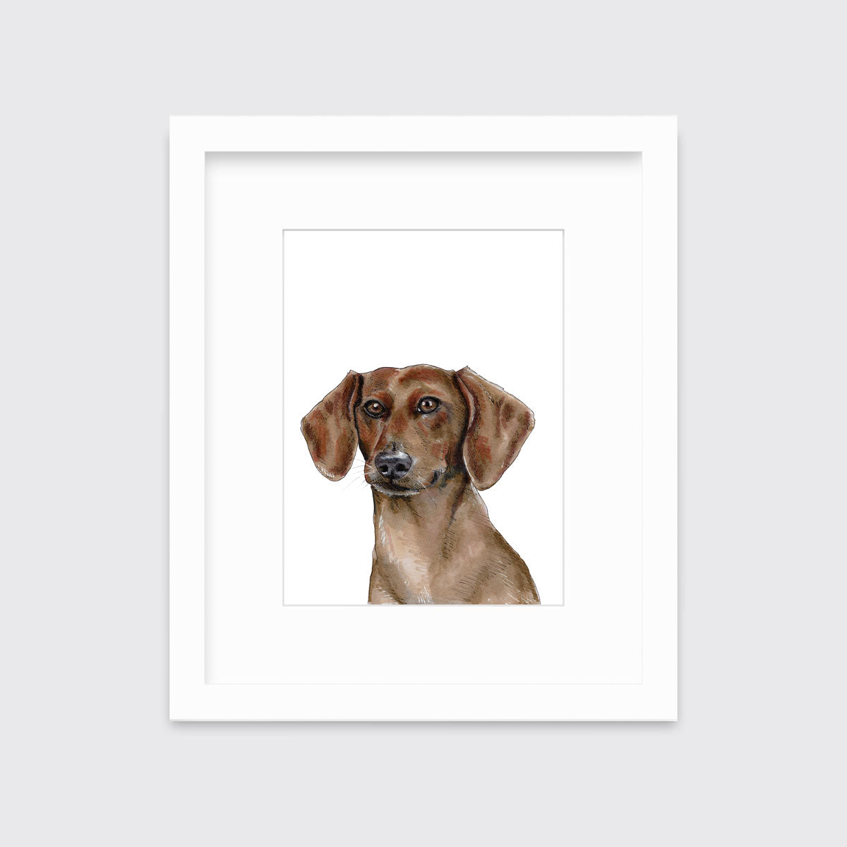 The Dachshund - Open Edition Paper Print