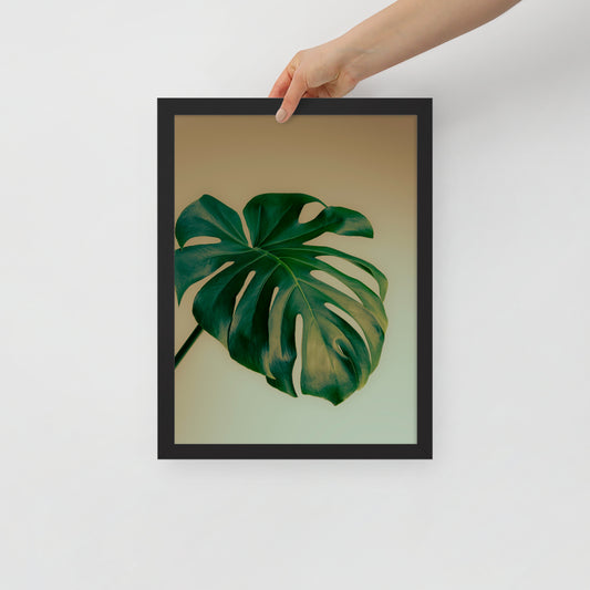 Devin Syr Framed Poster; Monstera Single