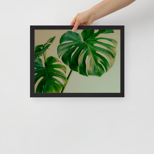 Devin Syr Framed Poster; Monstera Family