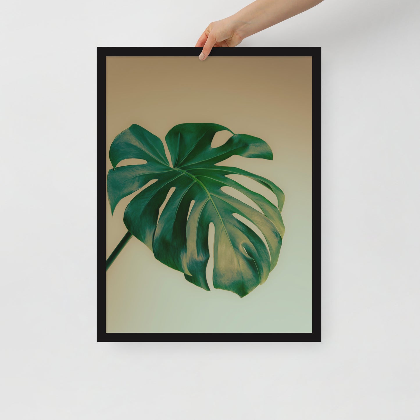 Devin Syr Framed Poster; Monstera Single