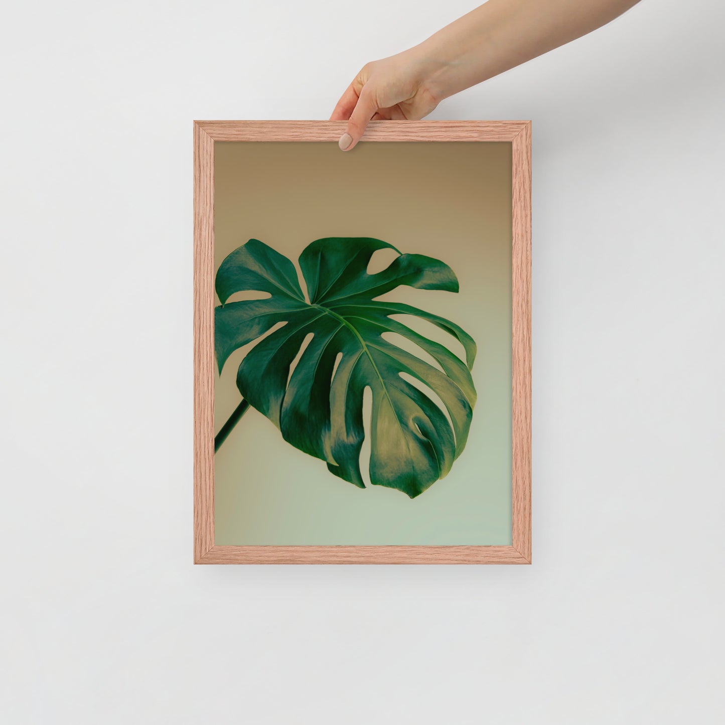 Devin Syr Framed Poster; Monstera Single