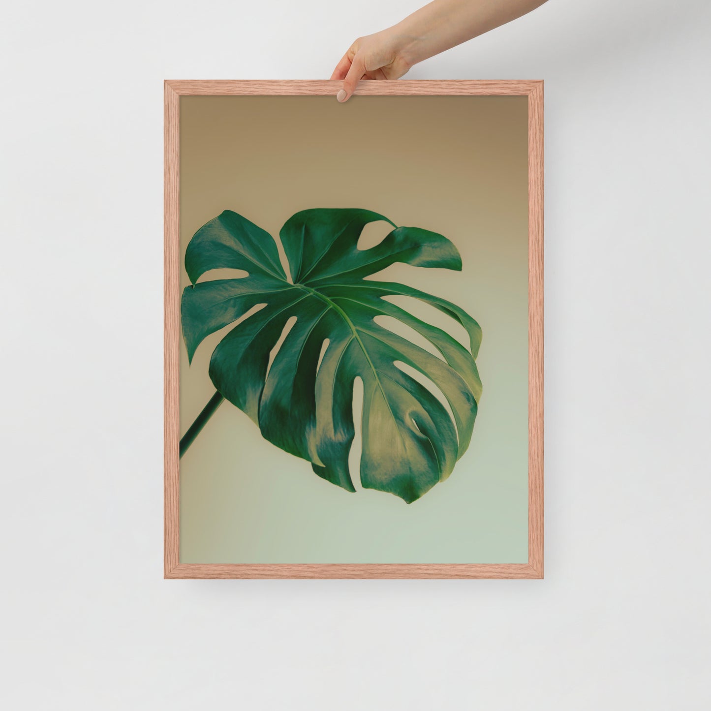 Devin Syr Framed Poster; Monstera Single