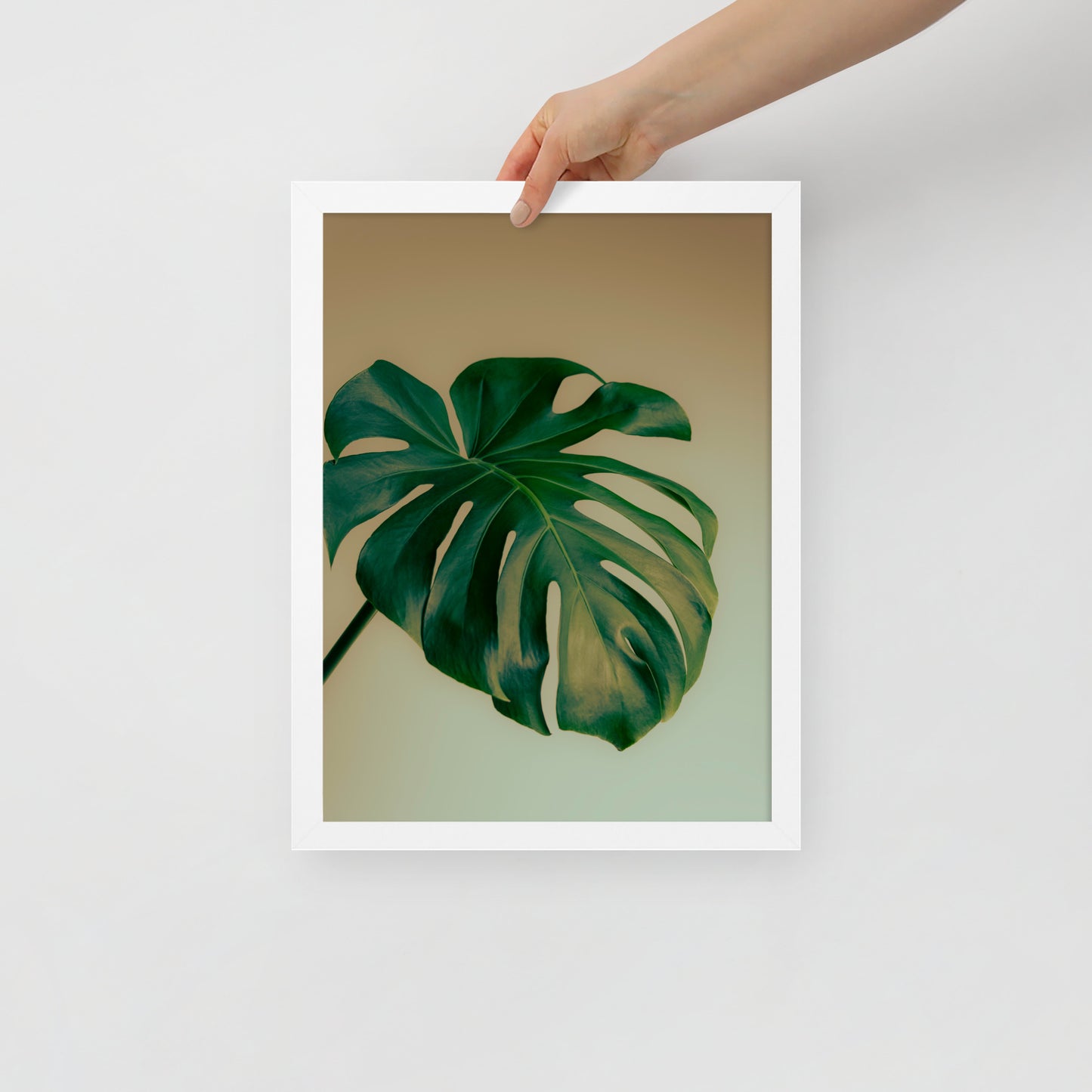 Devin Syr Framed Poster; Monstera Single