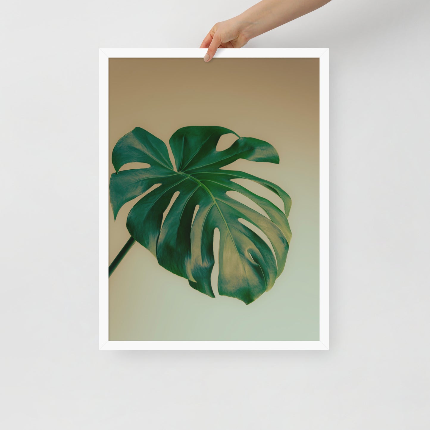 Devin Syr Framed Poster; Monstera Single