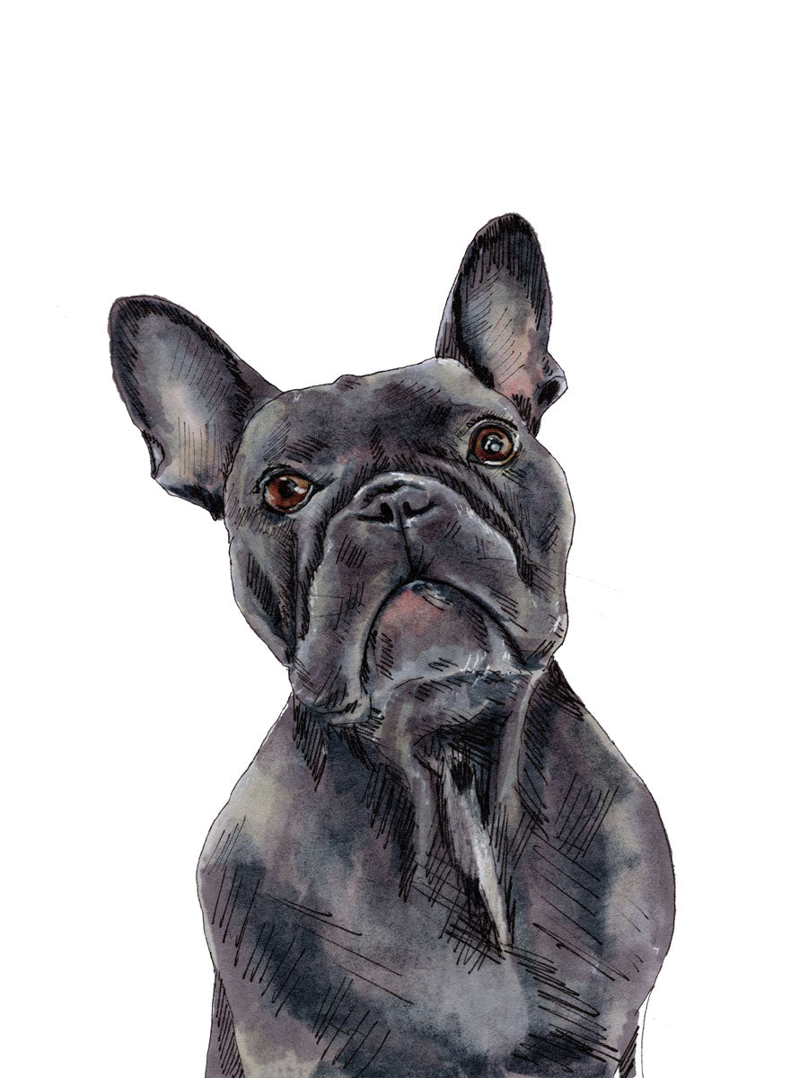 The Frenchie - Open Edition Paper Print