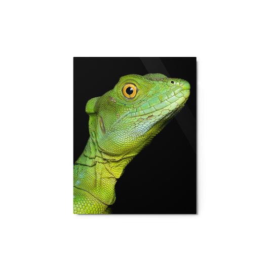 Metal Print; The Basilisk - Female