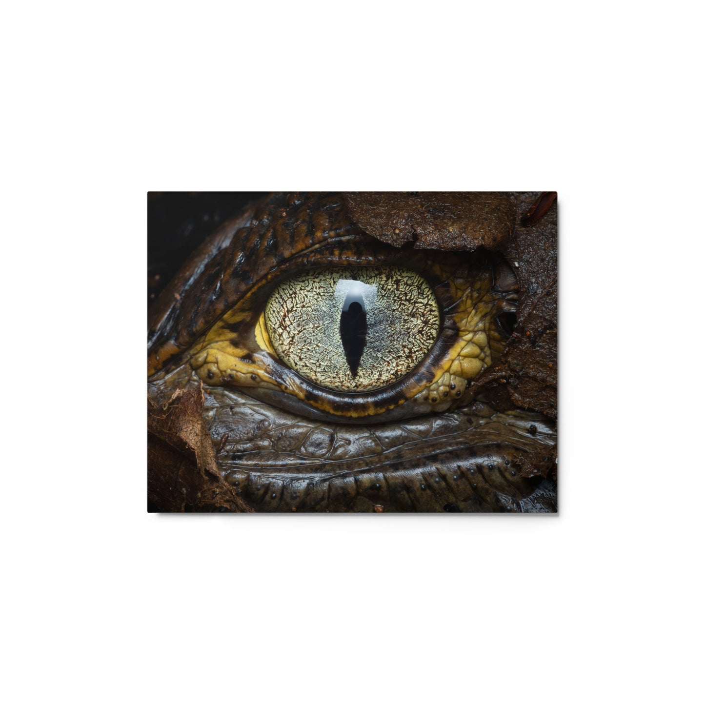 Metal Print: The Caiman Eye - Black Caiman