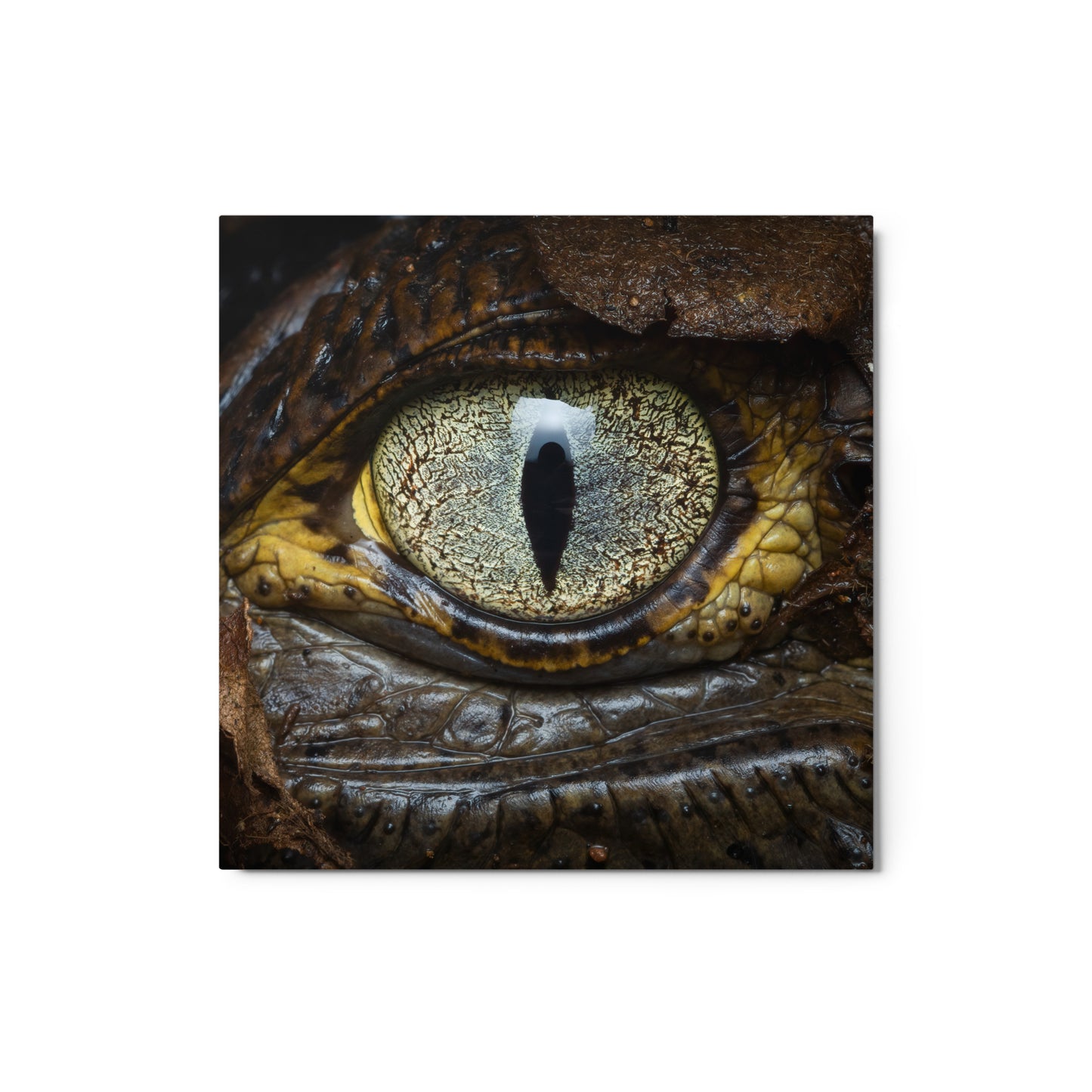 Metal Print: The Caiman Eye - Black Caiman