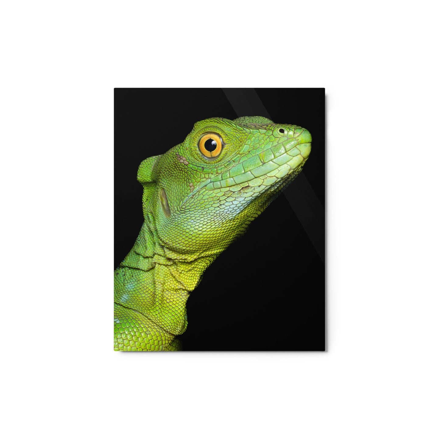 Metal Print; The Basilisk - Female