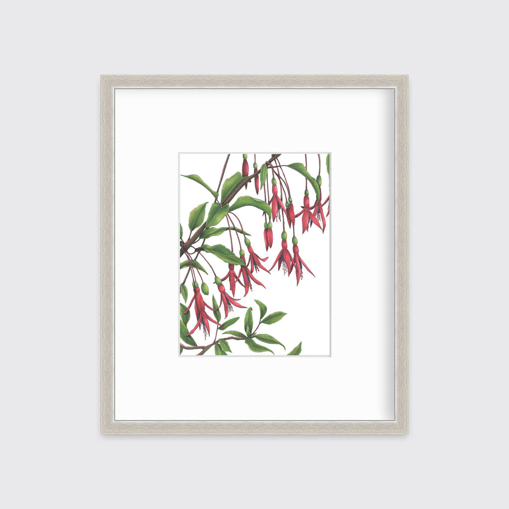 Hummingbirds - Open Edition Paper Print