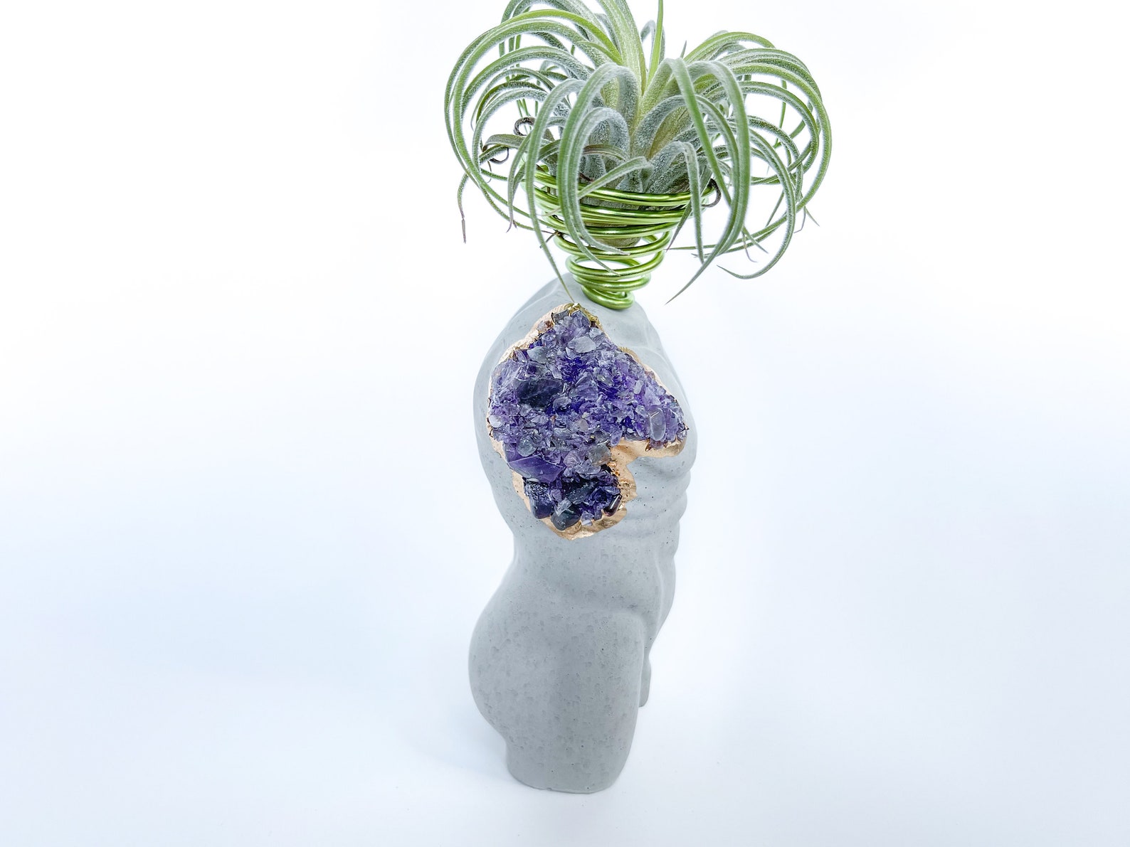 MALE BODY AIR PLANT HOLDER